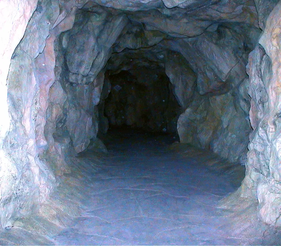 Interni con Rocce Artificiali